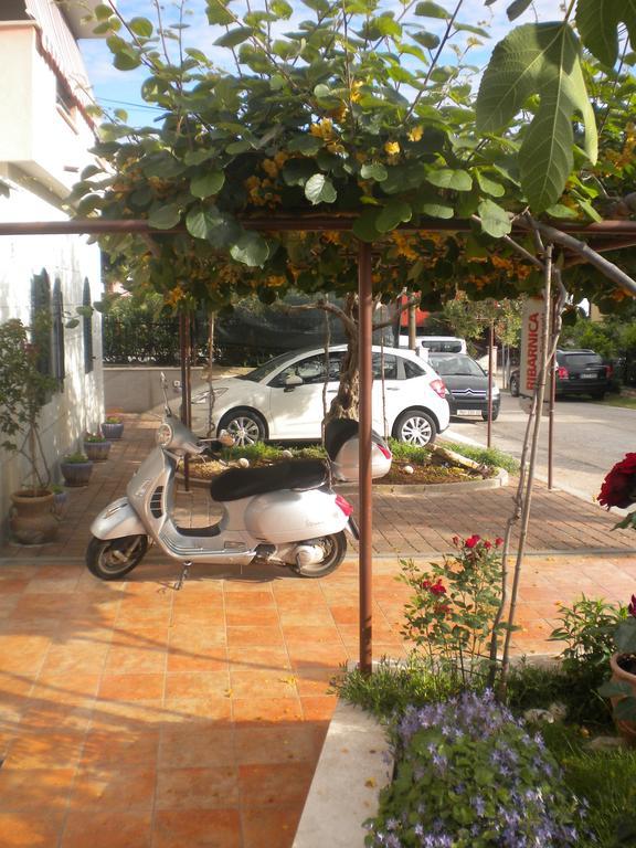 Apartments Miani Novigrad Istria Dış mekan fotoğraf