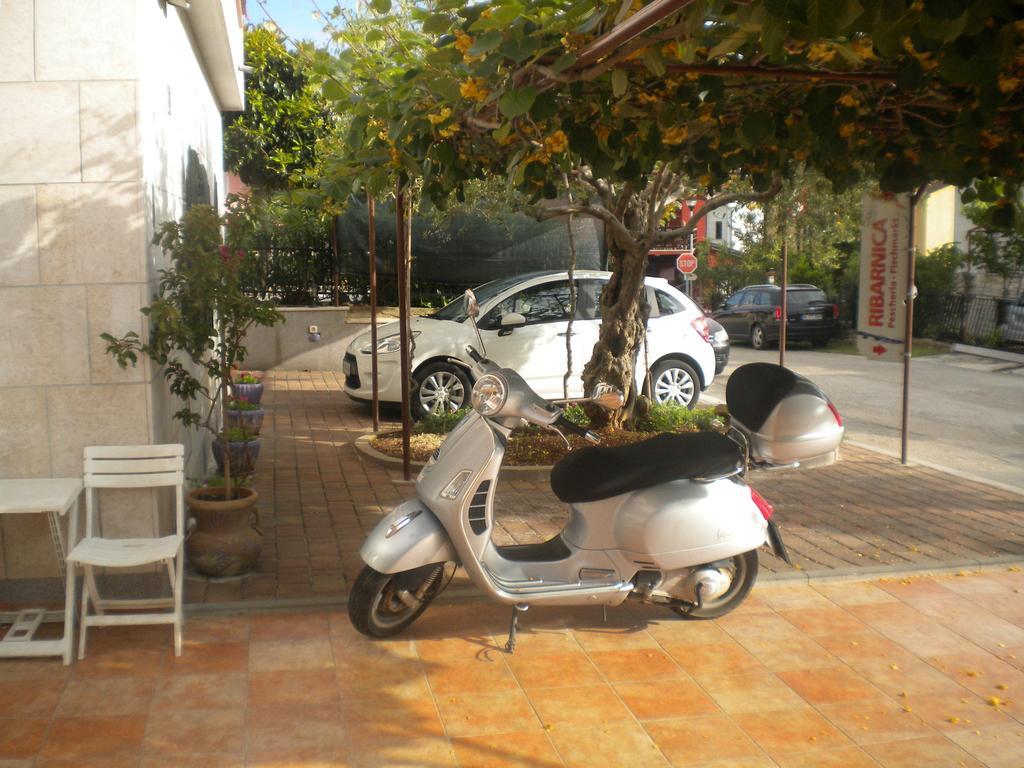 Apartments Miani Novigrad Istria Dış mekan fotoğraf