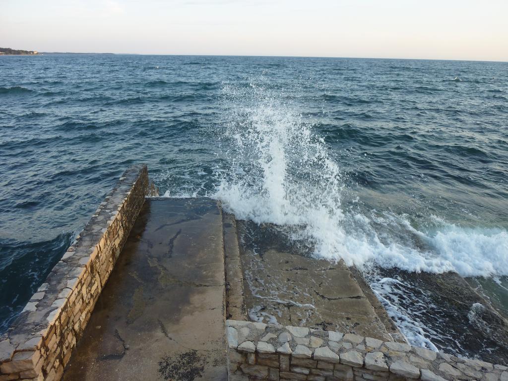 Apartments Miani Novigrad Istria Dış mekan fotoğraf