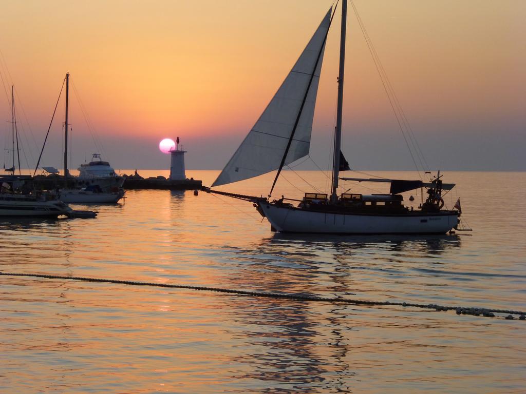 Apartments Miani Novigrad Istria Dış mekan fotoğraf