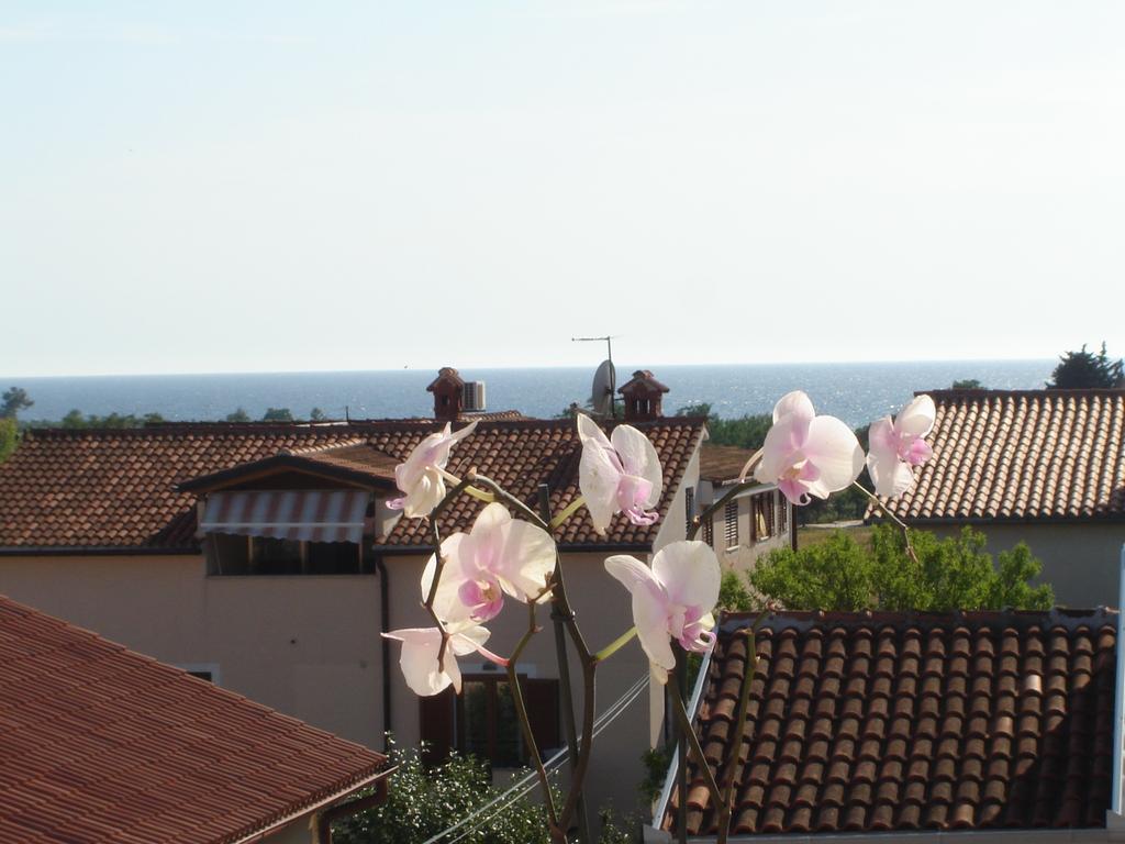 Apartments Miani Novigrad Istria Dış mekan fotoğraf