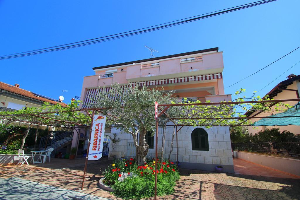 Apartments Miani Novigrad Istria Dış mekan fotoğraf